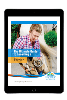 become a farrier in ohio become a farrier in ohio