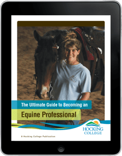eBook_Equine