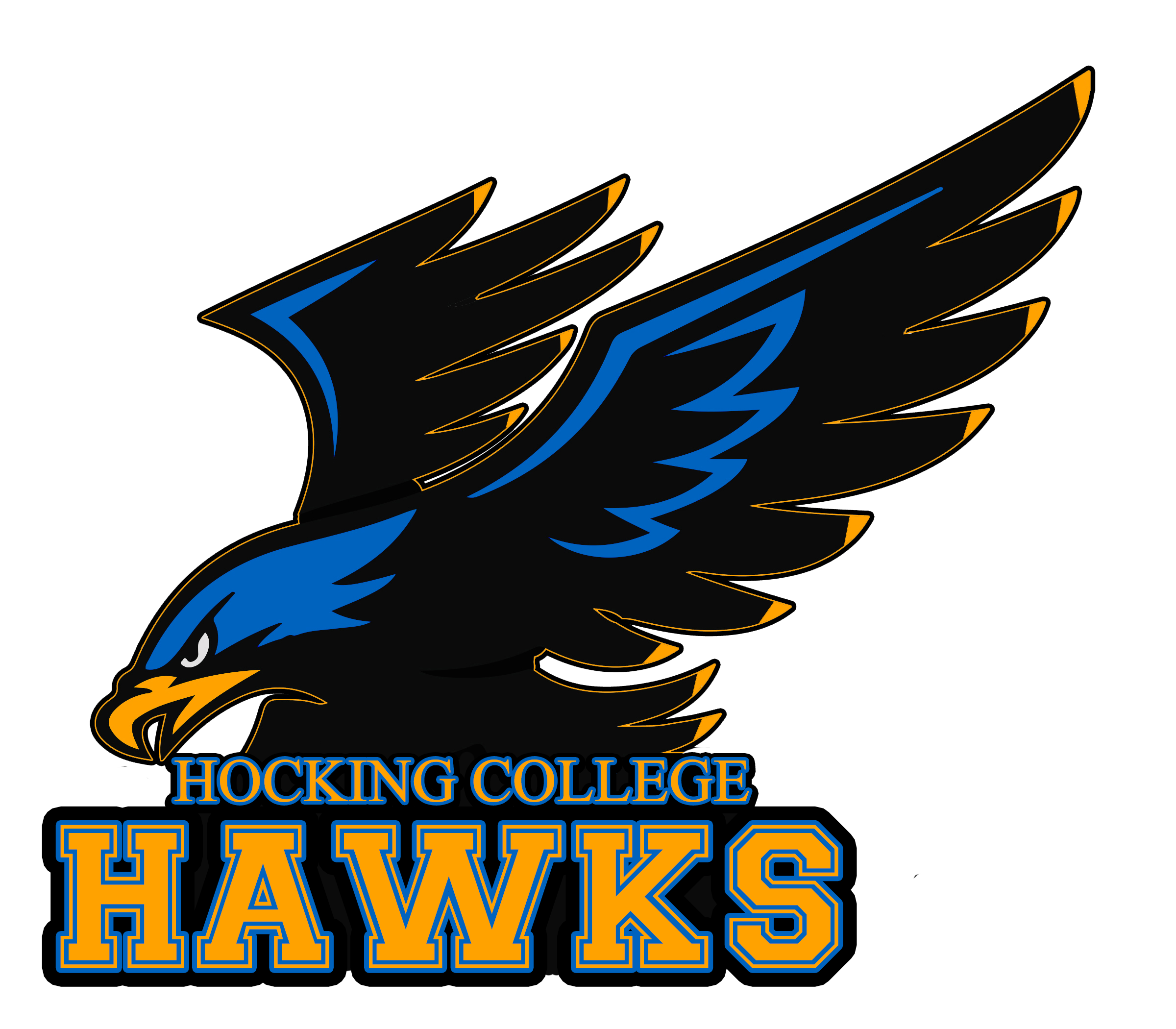 HawkLogo vector copy